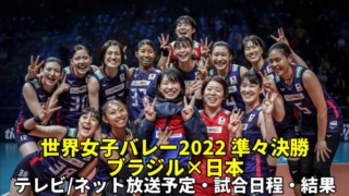 ブラジルvs日本・準々決勝/2022女子バレー世界選手権の試合結果速報、放送予定(テレビ/ネット配信)、日程、メンバー