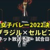 ブラジル×セルビア戦・決勝戦｜世界バレー2022のテレビ放送・ネット配信・日程・LIVE速報