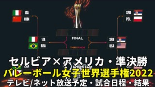 セルビア×アメリカ戦・準決勝｜世界バレー2022のテレビ放送・ネット配信・日程・LIVE速報・メンバー