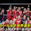 【バレーボール女子日本代表】2022女子世界選手権のテレビ放送/ネット中継・試合日程(開始時間)・結果情報・出場メンバー