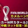 カメルーン代表 ワールドカップ2022のサッカー中継(テレビ放送/ネット配信)・試合予定・スタメン情報・順位表