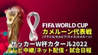 カメルーン代表 ワールドカップ2022のサッカー中継(テレビ放送/ネット配信)・試合予定・スタメン情報・順位表