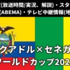 【エクアドル対 セネガル戦】W杯 放送予定(解説)・テレビ地上波/BS中継/ライブ配信・スタメンは？順位表など