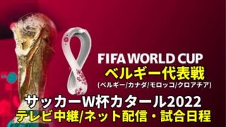 ベルギー代表 ワールドカップ2022のサッカー中継(テレビ放送/ネット配信)・試合予定・スタメン情報・順位表