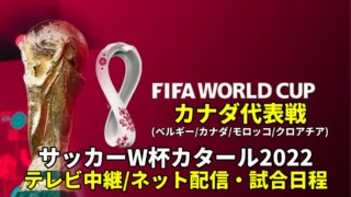 カナダ代表 ワールドカップ2022のサッカー中継(テレビ放送/ネット配信)・試合予定・スタメン情報・順位表