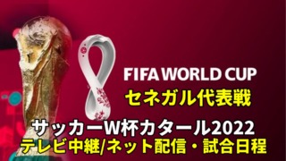 セネガル代表・ワールドカップ2022のサッカー中継(テレビ放送/ネット配信)・試合予定・スタメン情報・順位表