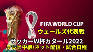 ウェールズ代表 ワールドカップ2022サッカー中継(テレビ放送/ネット配信)・試合予定・スタメン情報・順位表