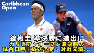 錦織圭vs G.ハイデ　カリビアンオープン準決勝の試合日程・放送予定(テレビ/ネット配信)・対戦成績・結果速報｜復帰第1戦