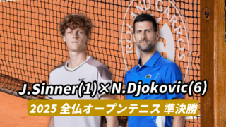全仏オープン2025準決勝シナー対ジョコビッチ