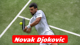 Novak Djokovic wimbledon 2025