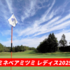 ミネベアミツミレディス