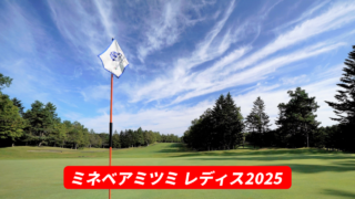 ミネベアミツミレディス