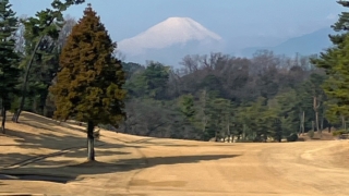 資生堂・JAL レディスオープン