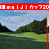 北海道 ｍｅｉｊｉ カップ