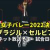 【ブラジル×セルビア戦】決勝戦・世界女子バレー2022のテレビ放送/ネット配信・日程・